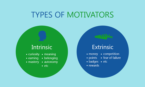 Intrinsic and Extrinsic Motivators