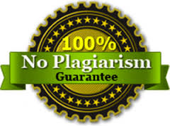 No Plagiarism